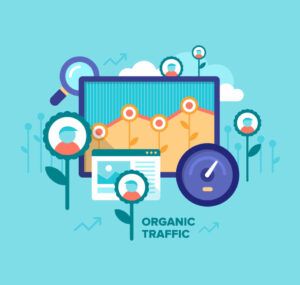 what is seo organic traffic sri lanka