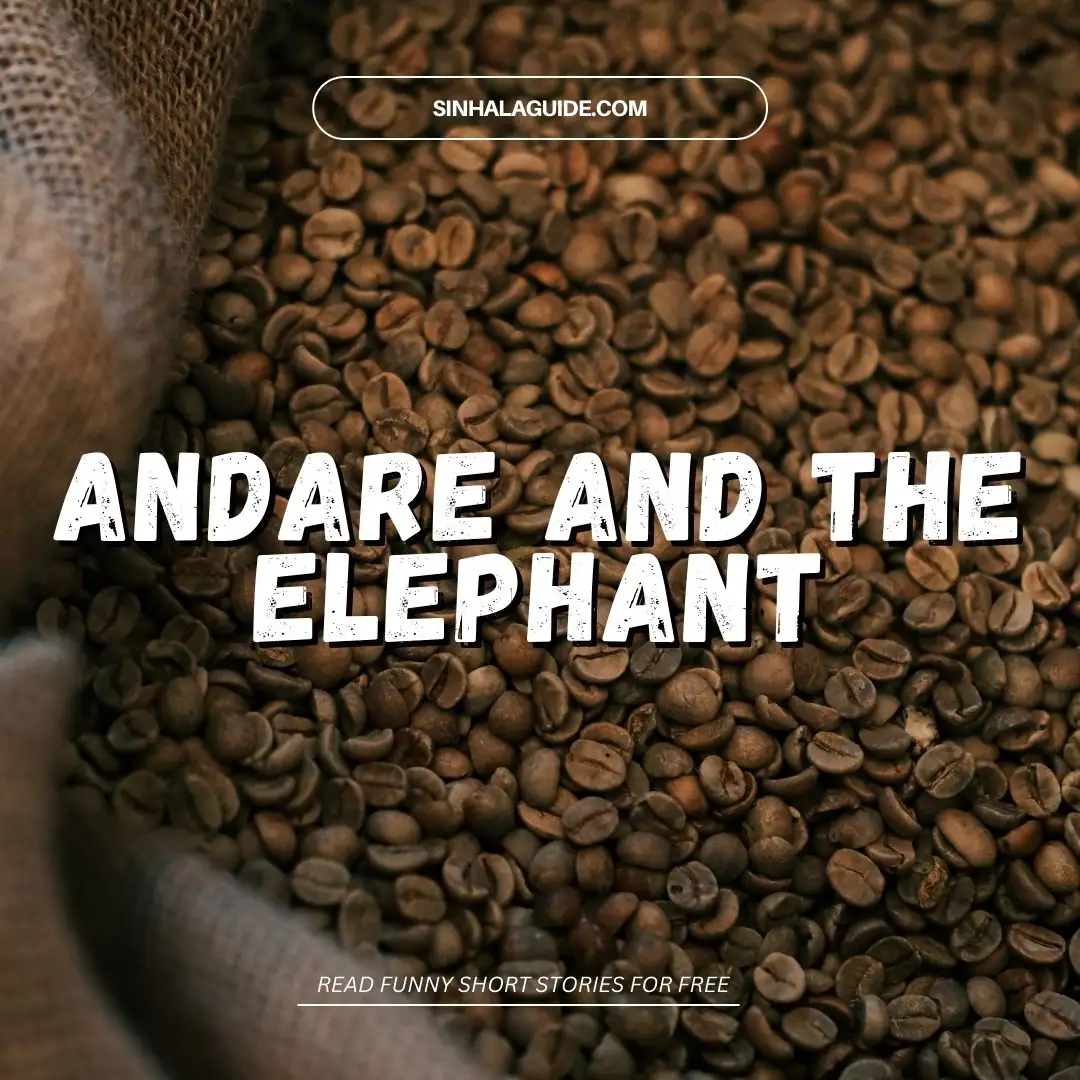 Andare and the Elephant: A Classic Tale