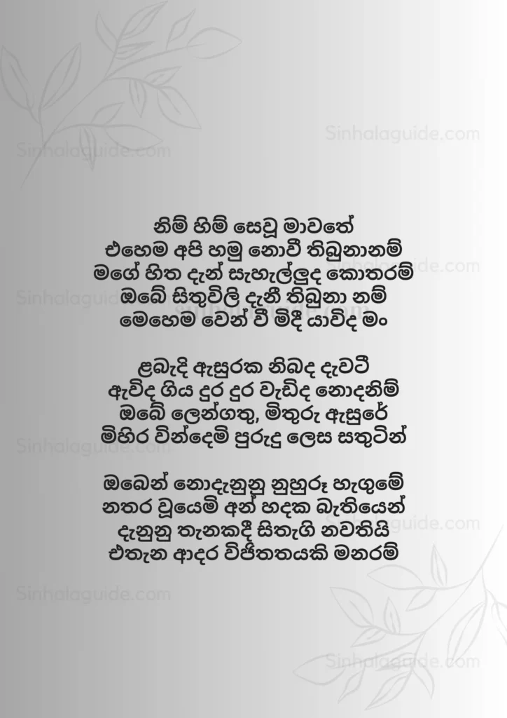 Nim Him sinhala lyrics (නිම් හිම්) - Nirosha Virajani english lyrics 2024