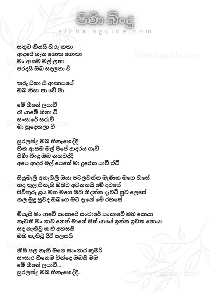 Pini Bindu sinhala Lyrics - Dilshan Maduranga