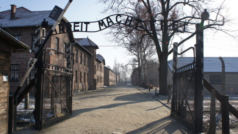 Israeli student arrested in Poland for performing a Nazi salute at Auschwitz