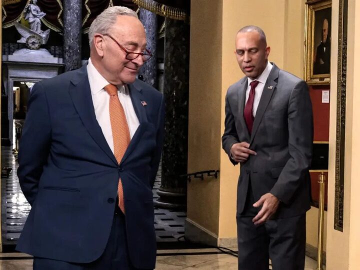 The Onion just roasted Congress for its ‘cowardice’ in a bold full-page ad in the New York Times