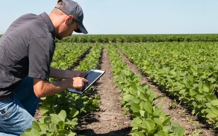 Elections Have Consequences: Why Some Americans Don’t Want to Bail Out Red State Farmers