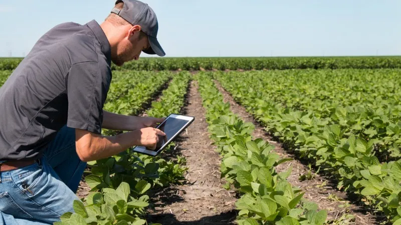 Elections Have Consequences: Why Some Americans Don’t Want to Bail Out Red State Farmers