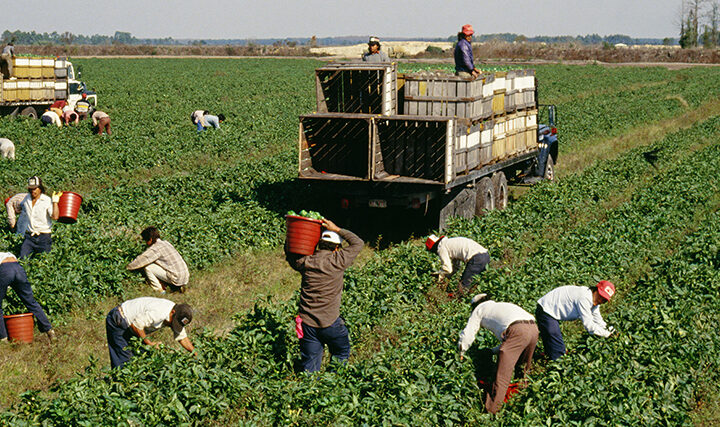 The real supply shock killing the economy isn’t tariffs or China—it’s the disappearing immigrant labor force