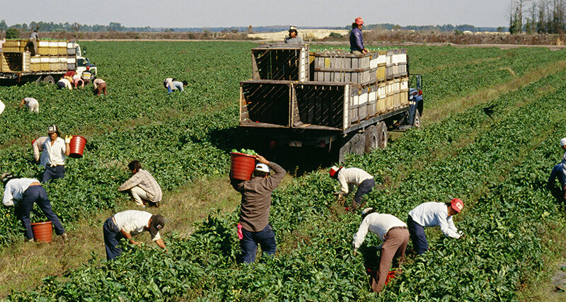 The real supply shock killing the economy isn’t tariffs or China—it’s the disappearing immigrant labor force
