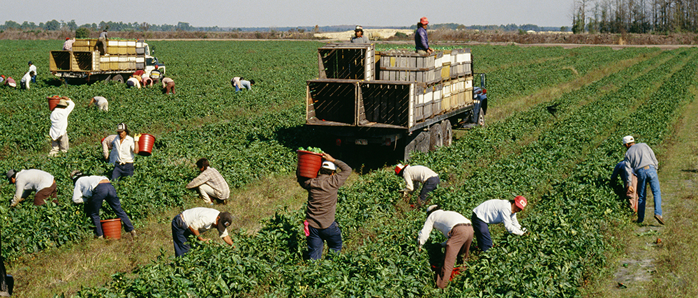 The real supply shock killing the economy isn’t tariffs or China—it’s the disappearing immigrant labor force The real supply shock killing the economy isn’t tariffs or China—it’s the disappearing immigrant labor force