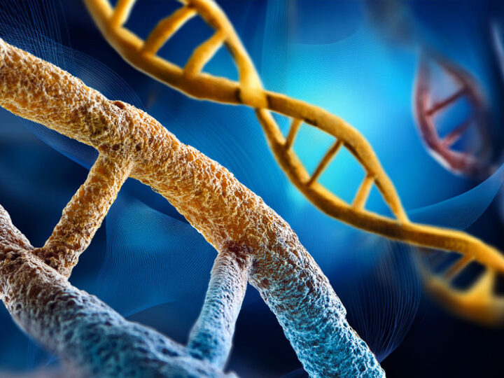 New Study: CRISPR successfully removes extra chromosome in Down syndrome cells, restoring healthy cell function