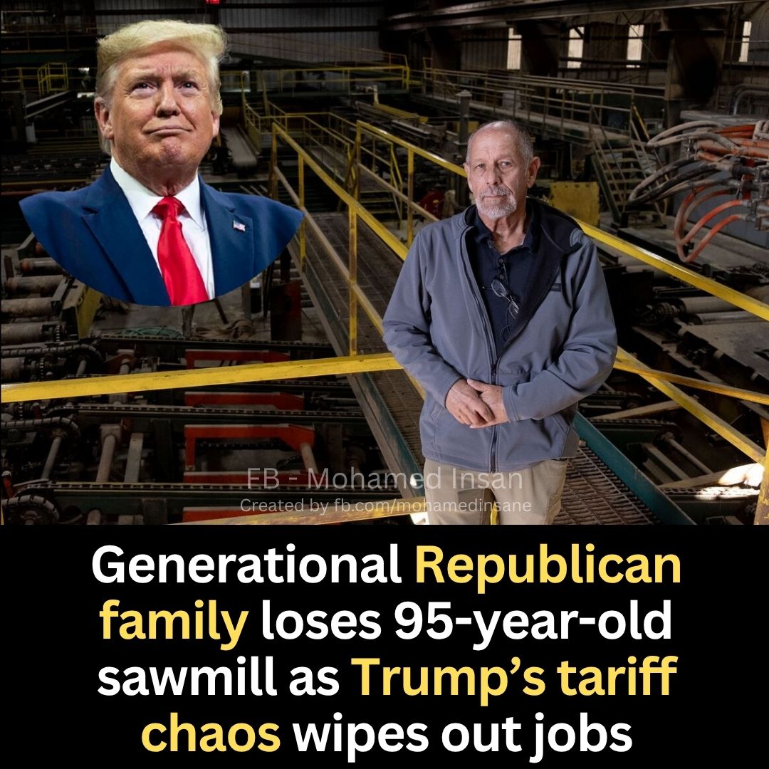 Generational Republican family loses 95-year-old sawmill as Trump’s tariff chaos wipes out jobs